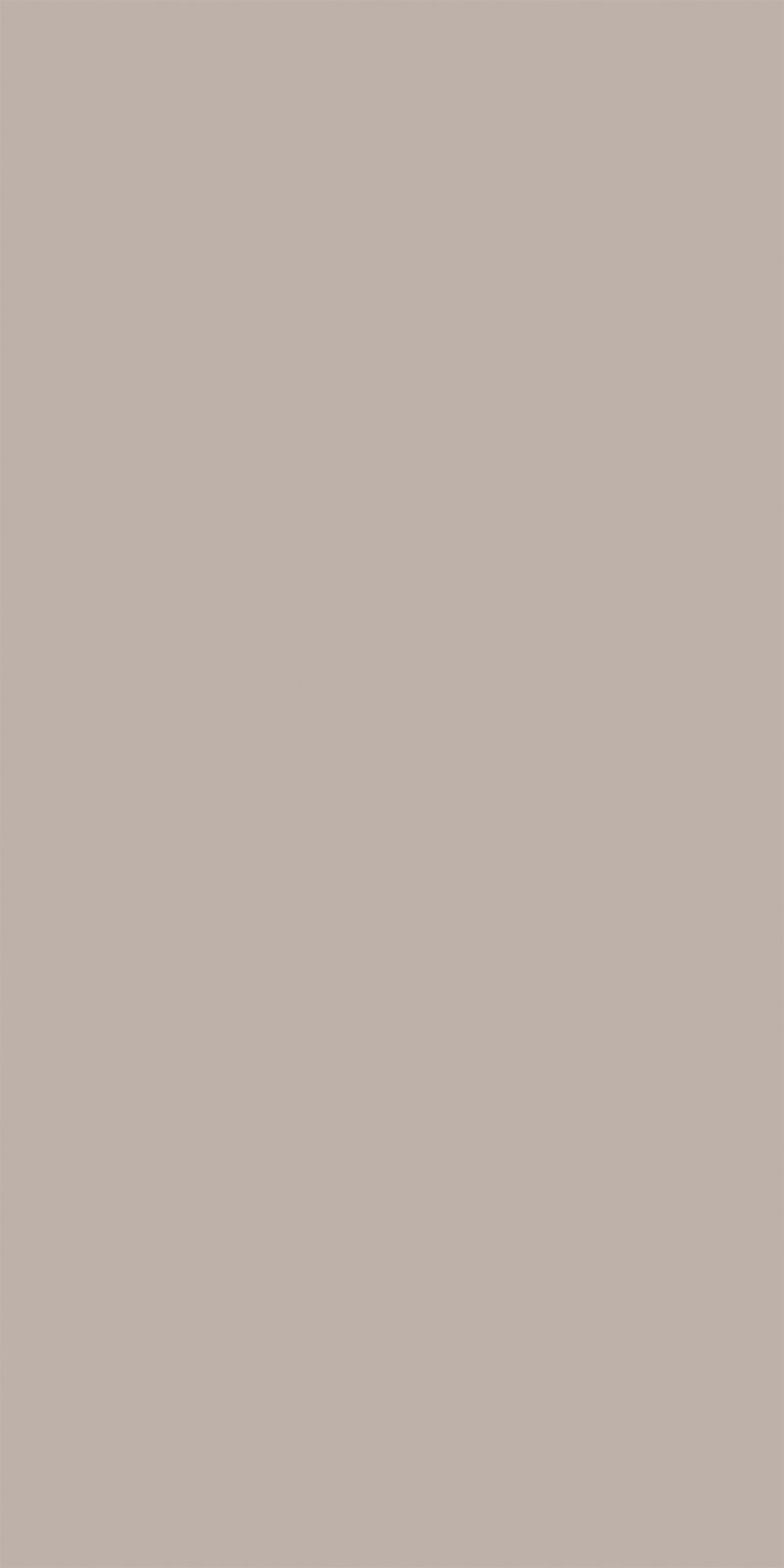 SILK – Bild 2